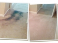 Carpet-Before-After